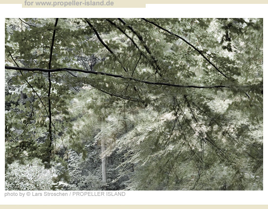 My Berlin Photos Berlin is GREEN moving leaves