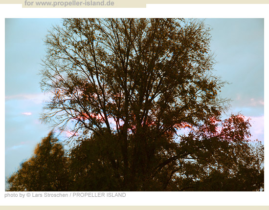 My Berlin Photos Berlin is GREEN sun dawn